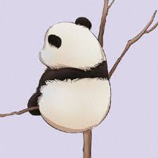 考研上岸的阿白