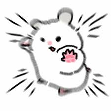 时间的朋友